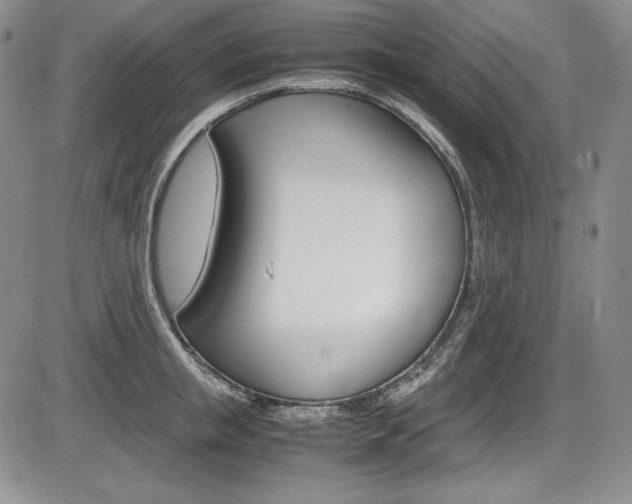 X0000086340853200703300955