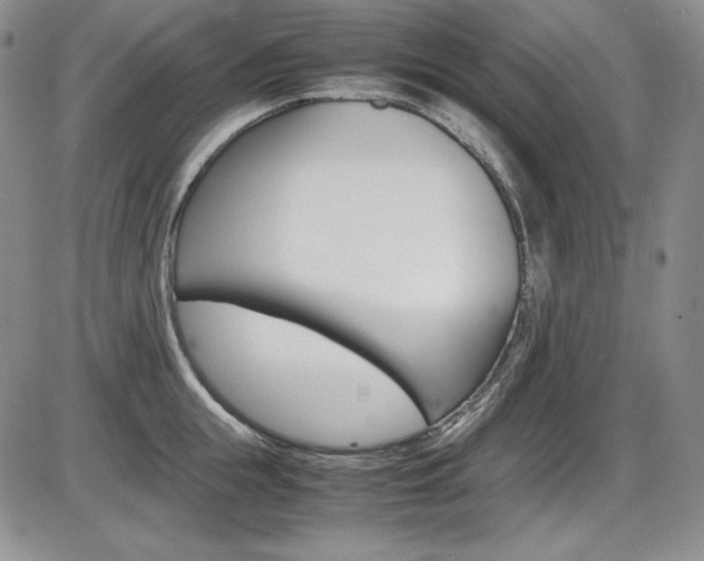 X0000086340855200703300955