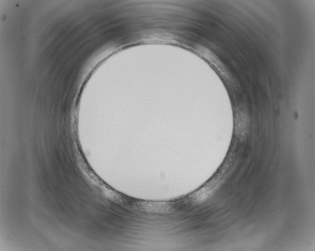 X0000086340856200703300955