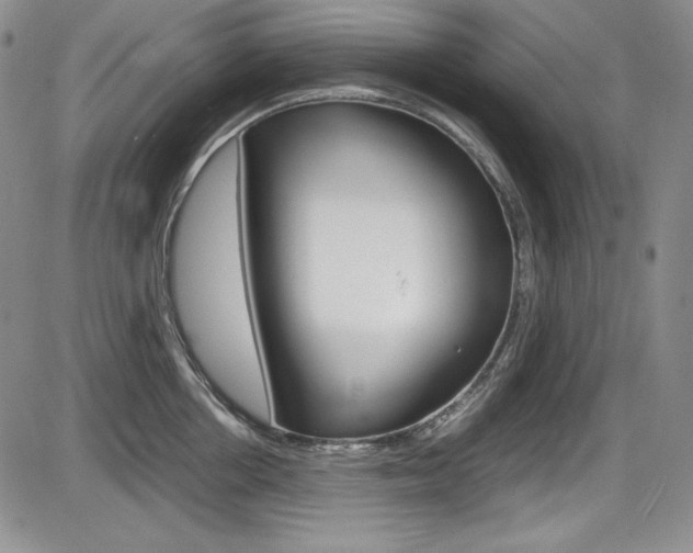 X0000086340858200703300955