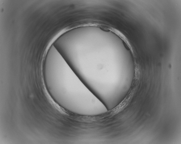 X0000086340859200703300955