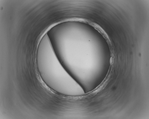 X0000086340860200703300955