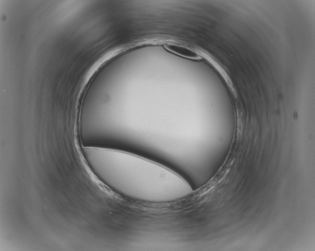 X0000086340861200703300955