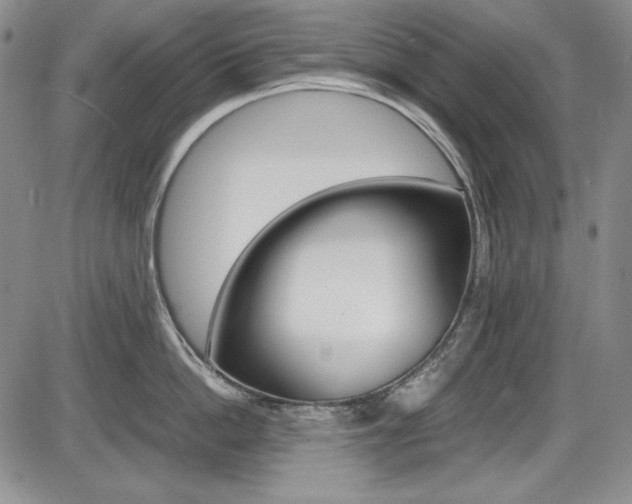 X0000086340862200703300955