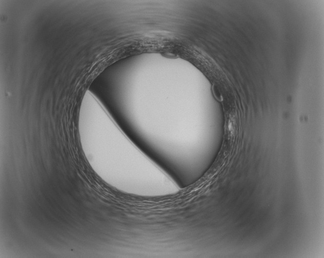 X0000086340867200703300954