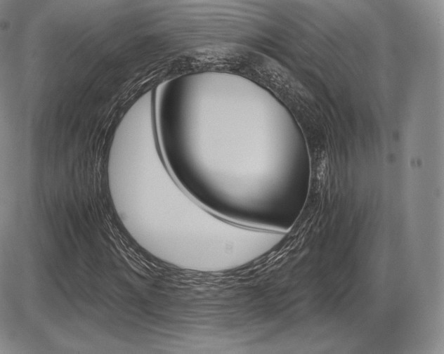 X0000086340868200703300954
