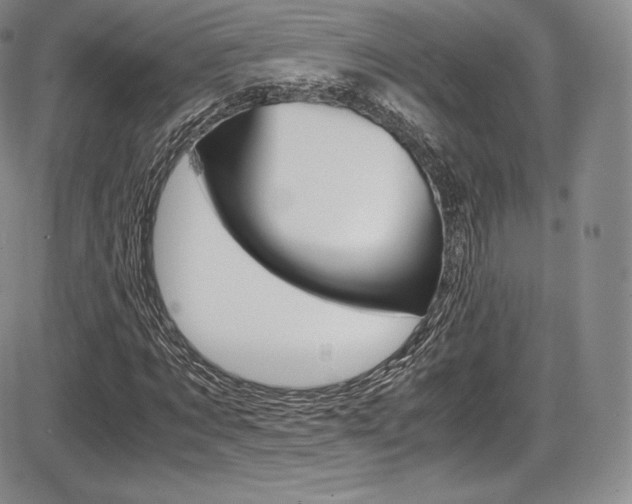 X0000086340869200703300954