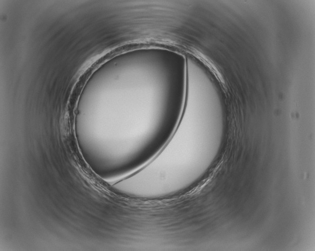 X0000086340876200703300954