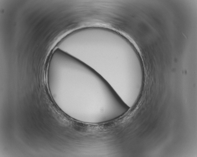 X0000086340887200703300954