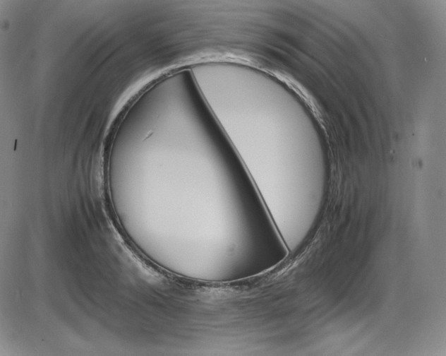 X0000086340894200703300954