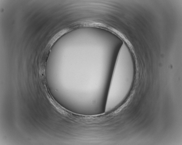 X0000086340897200703300953