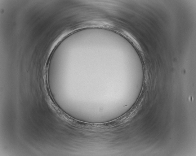 X0000086340899200703300953