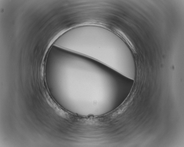 X0000086340900200703300953