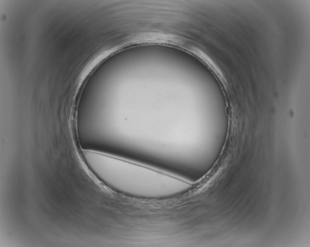 X0000086340901200703300953