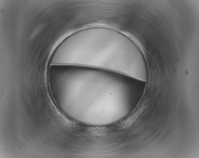X0000086340902200703300953