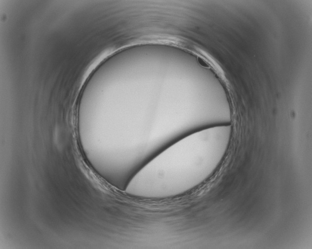 X0000086340907200703300953