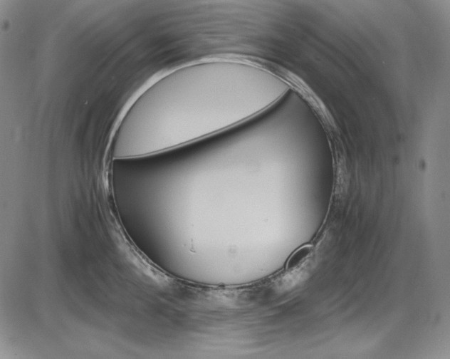 X0000086340908200703300953