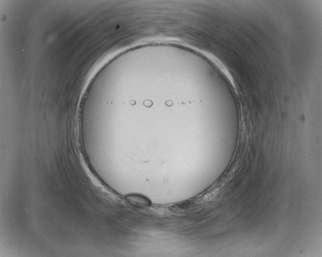 X0000086340911200703300953