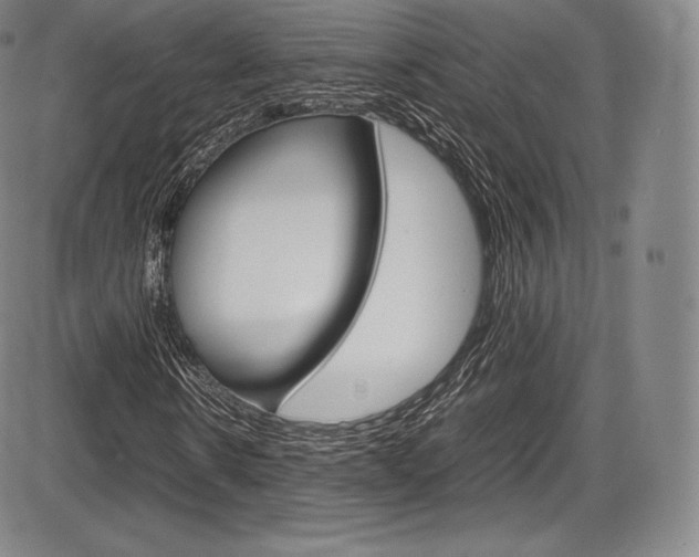X0000086340914200703300952