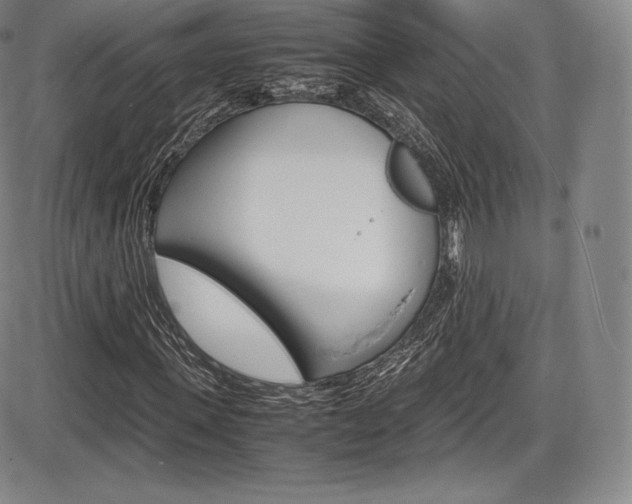 X0000086340915200703300952