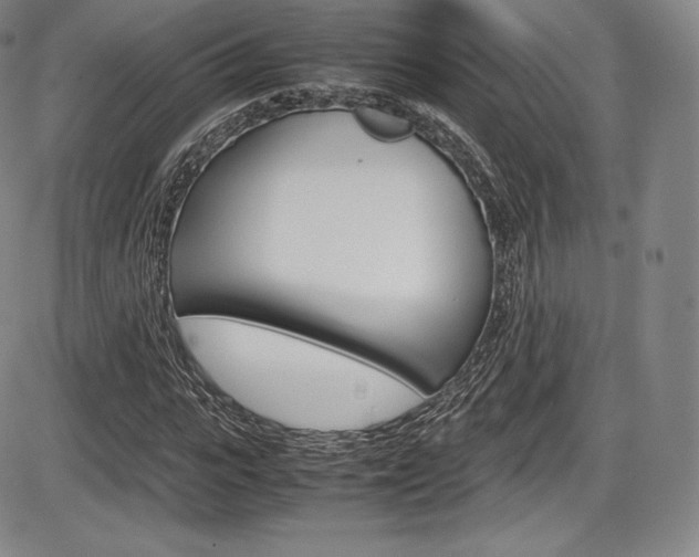 X0000086340919200703300953