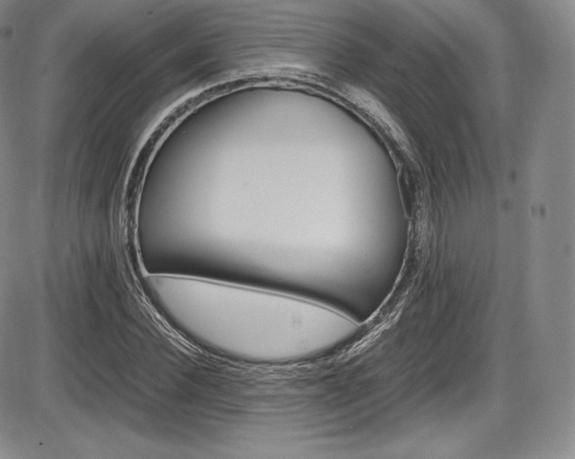 X0000086340924200703300953