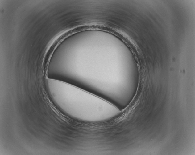 X0000086340927200703300953