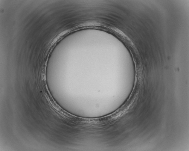 X0000086340929200703300953
