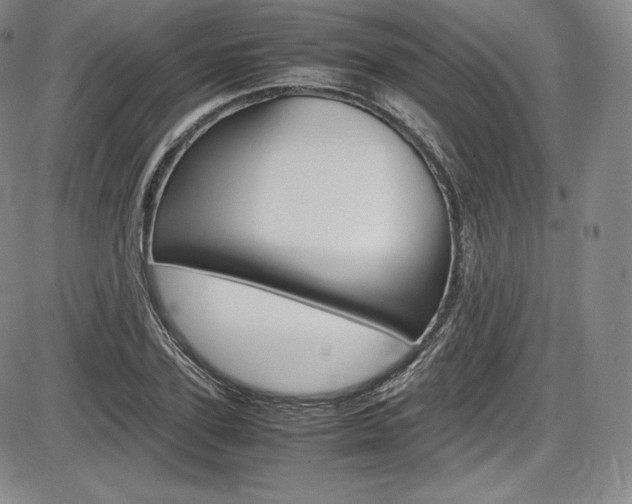 X0000086340931200703300953
