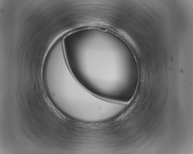 X0000086340932200703300953