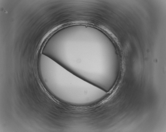 X0000086340933200703300953