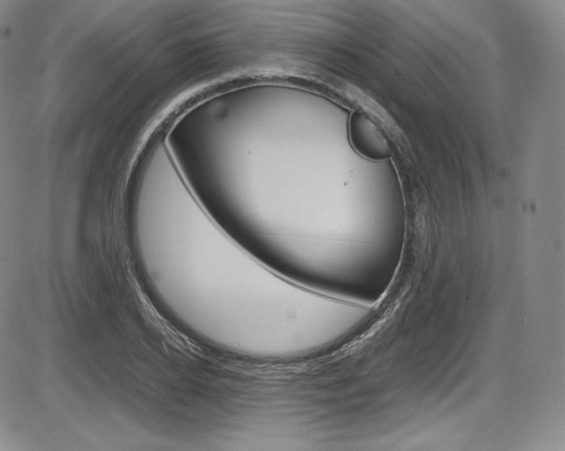 X0000086340934200703300953