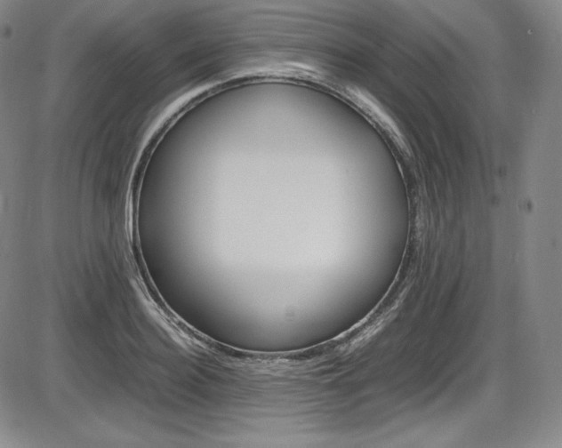 X0000086340940200703300953