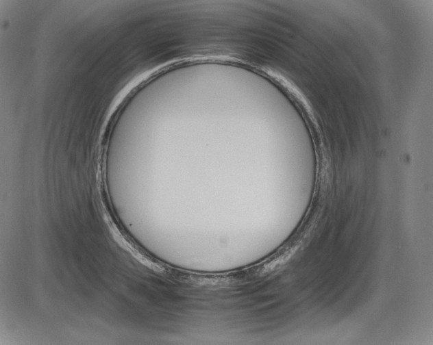 X0000086340941200703300953