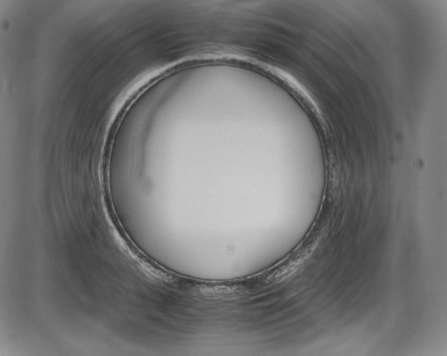 X0000086340943200703300953