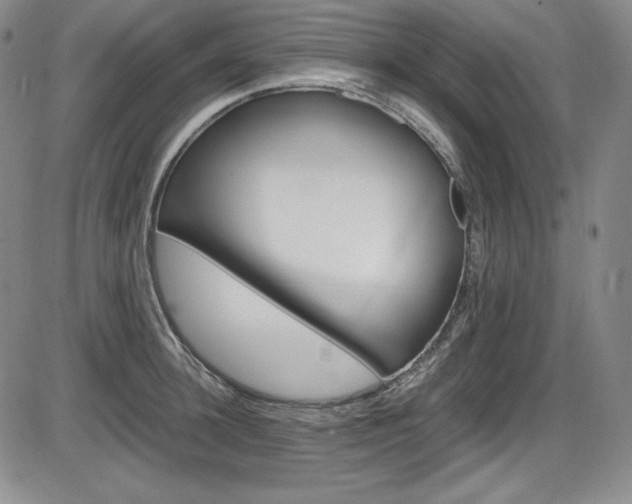 X0000086340948200703300953