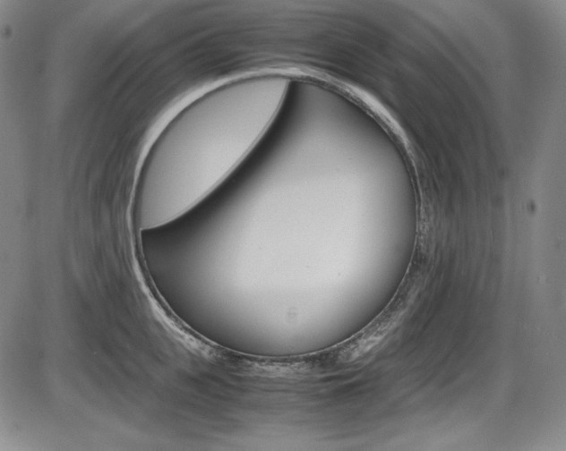 X0000086340951200703300953