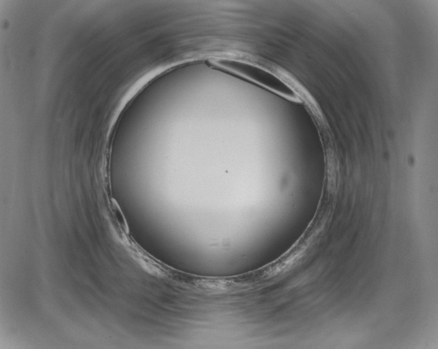 X0000086340956200703300953