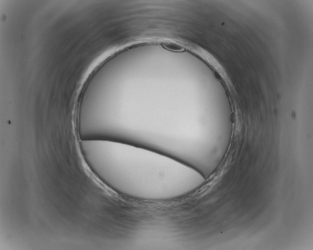 X0000086340958200703300953