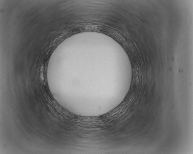 X0000086340962200703300952