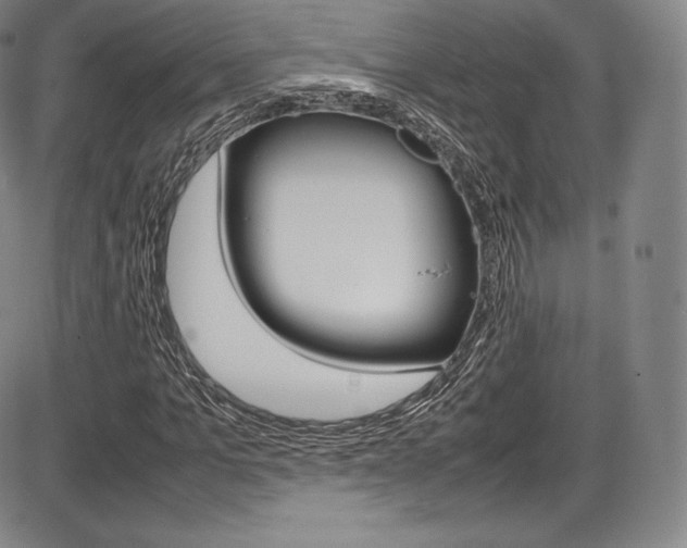 X0000086340965200703300952