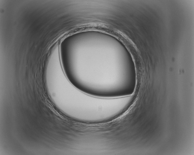 X0000086340969200703300952