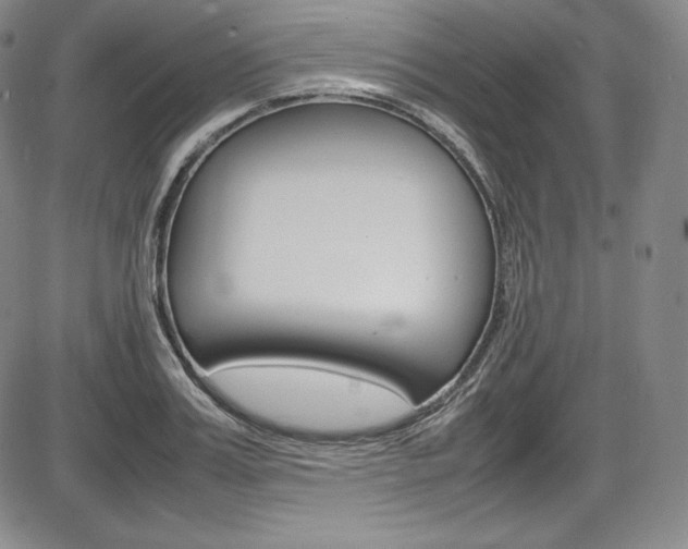 X0000086340987200703300952