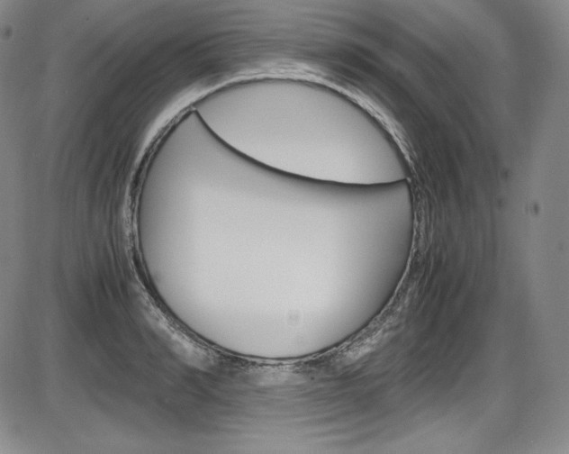 X0000086340990200703300952