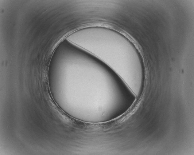 X0000086340993200703300952