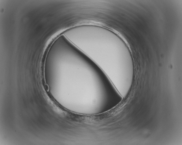 X0000086340995200703300952
