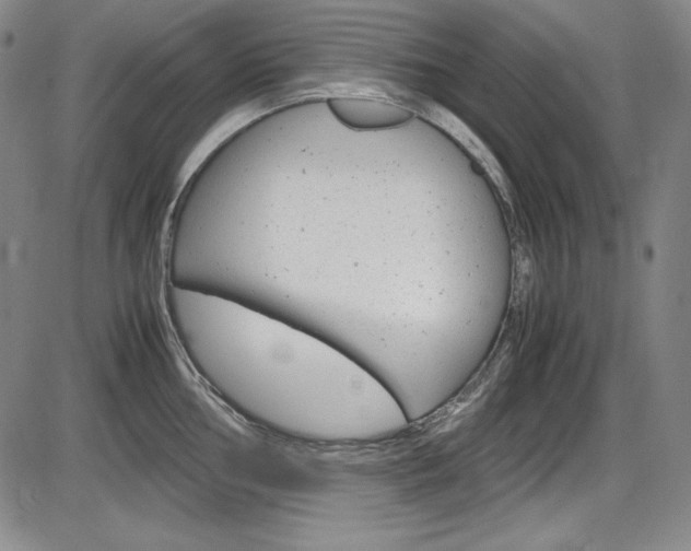 X0000086341002200703300952