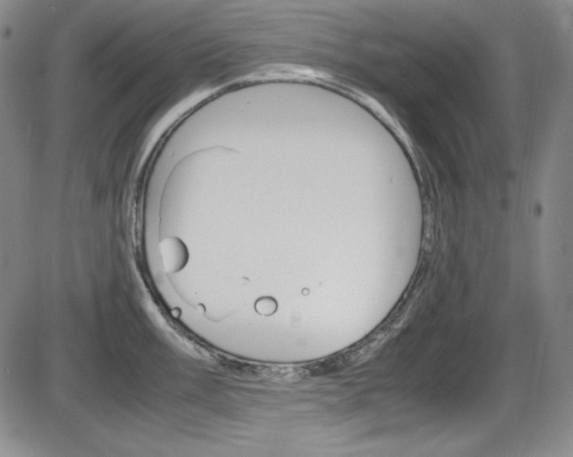 X0000086341003200703300952