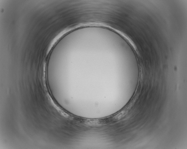 X0000086341006200703300952