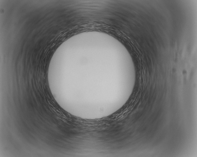 X0000086341010200703300951